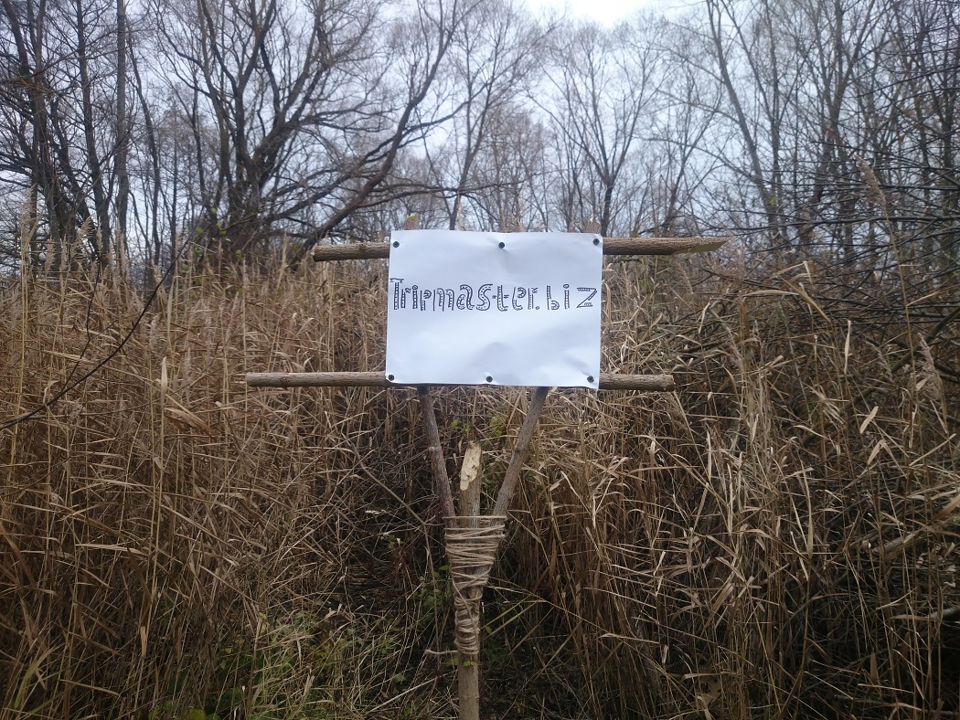 1.JPG