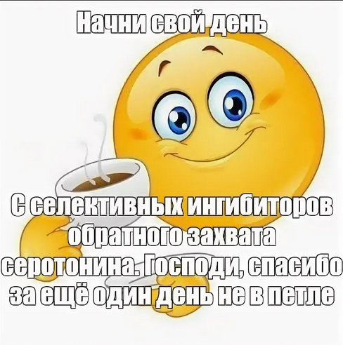 1664089494636.png