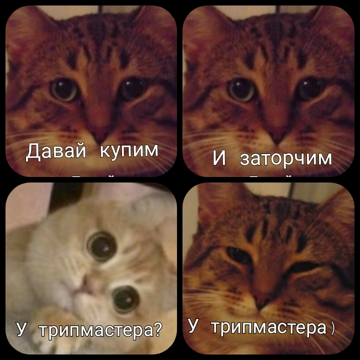 1667214740308.jpg