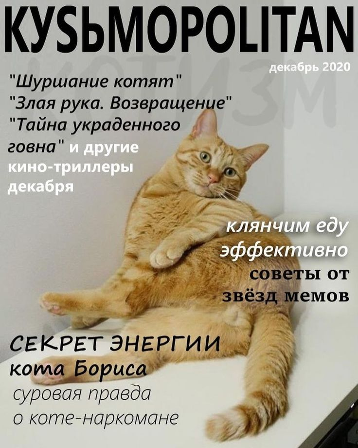 1780680379617.png