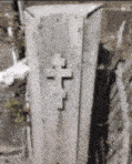 20221104_055608.gif