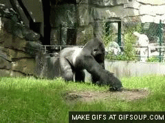 24cU (1).gif