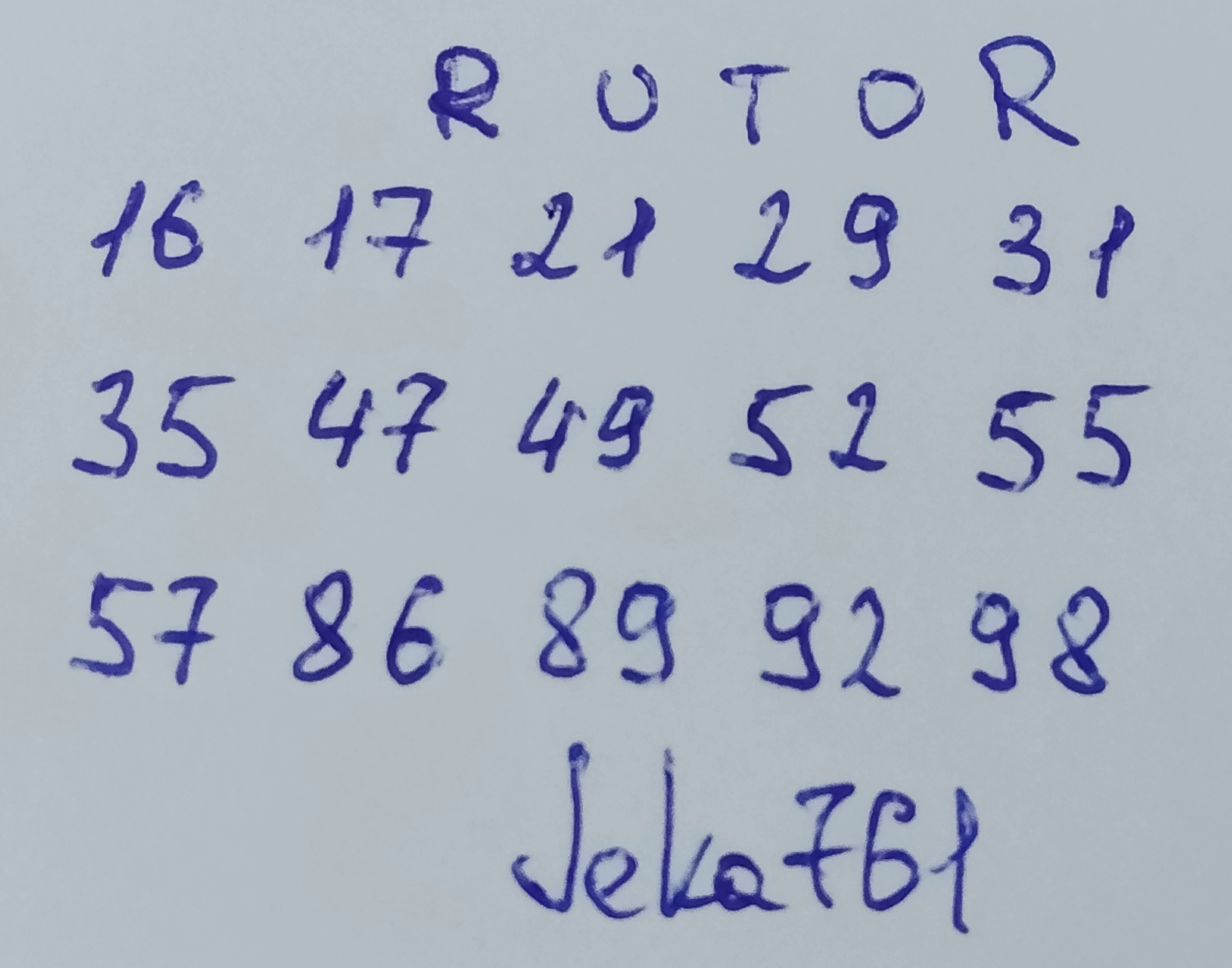 547.jpg
