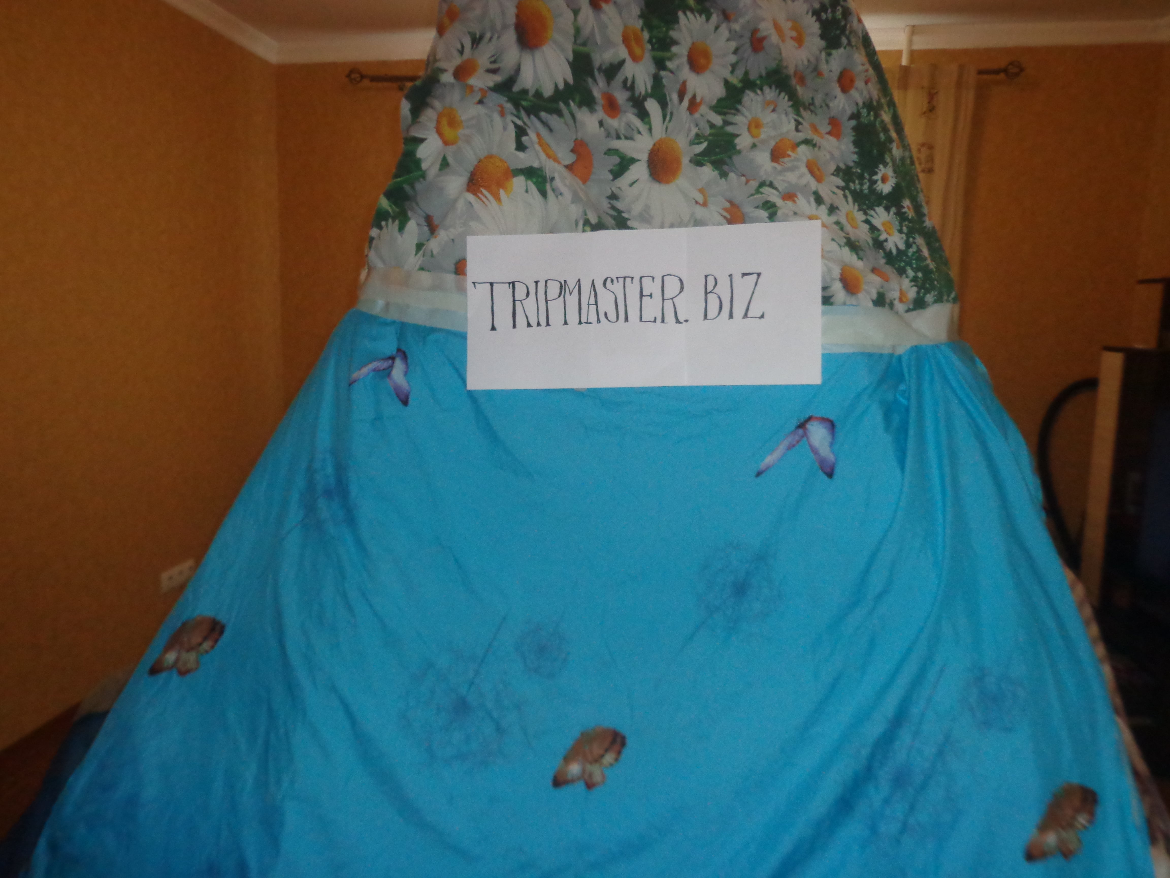 DSC01287-min.JPG