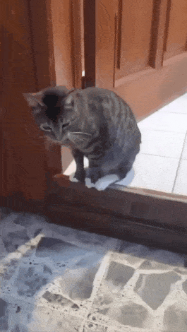 GIF_20250805_143906_625.gif