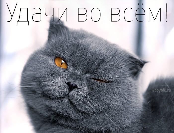 happypik.ru_udachi7.jpg