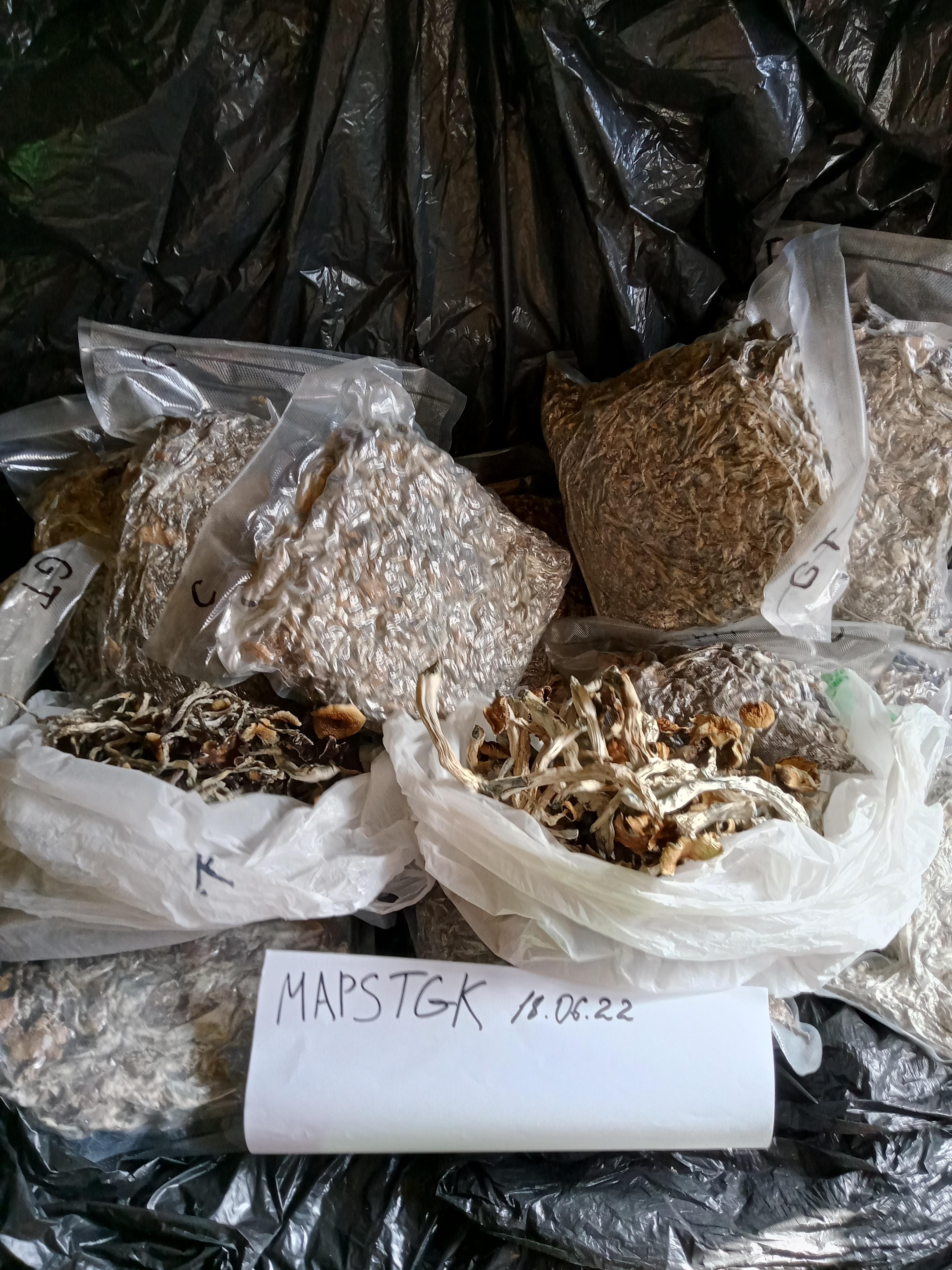 IMG20220618080958-cleaned.jpg