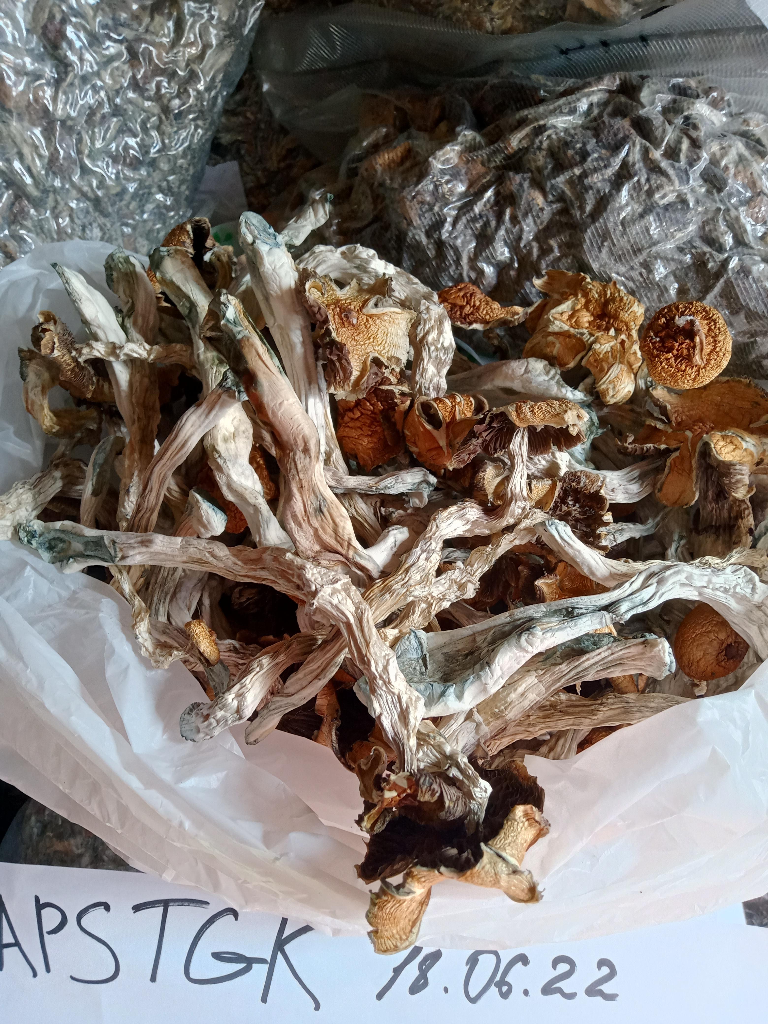 IMG20220618081133-cleaned.jpg