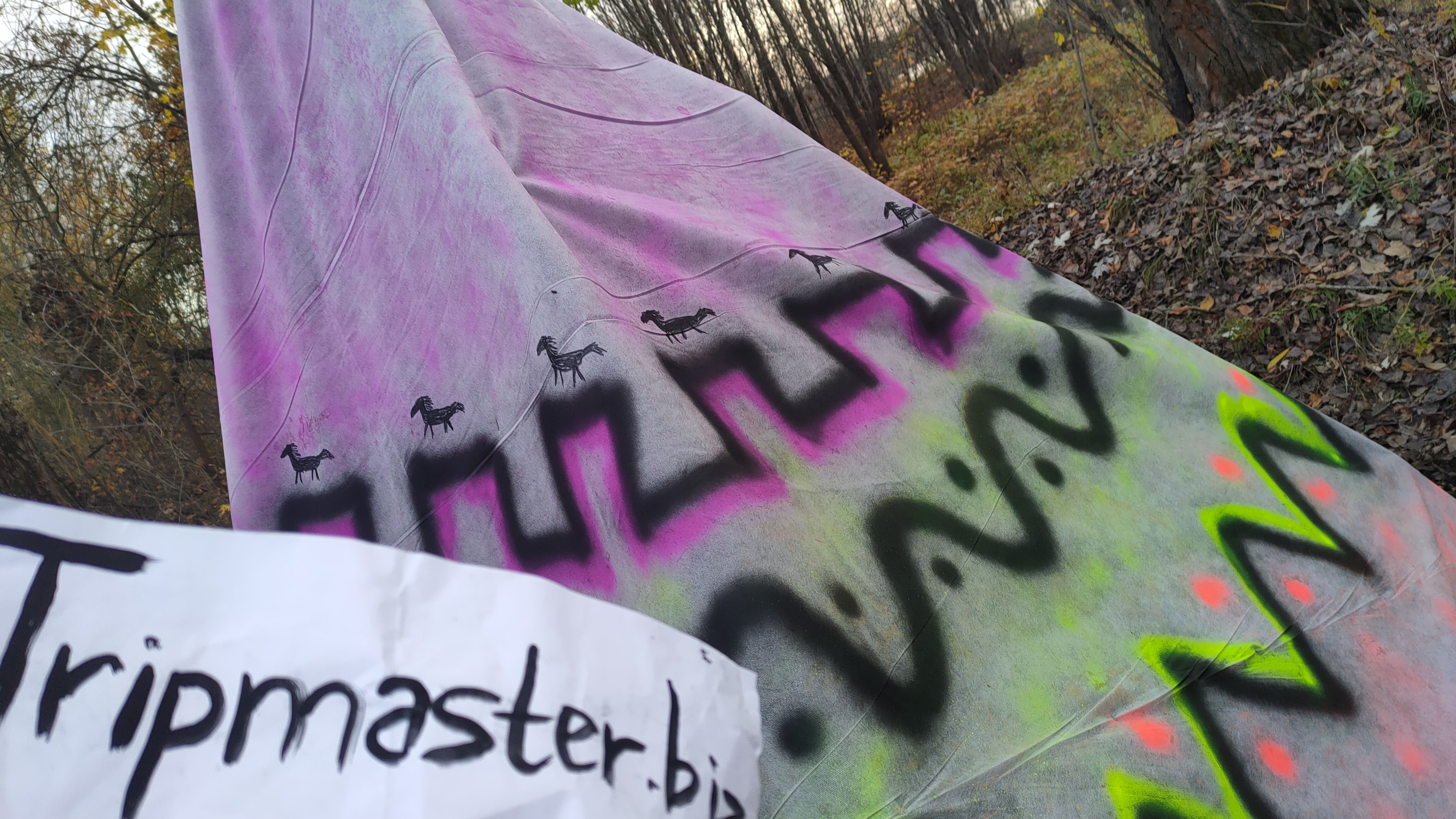 IMG20231031162235.jpg