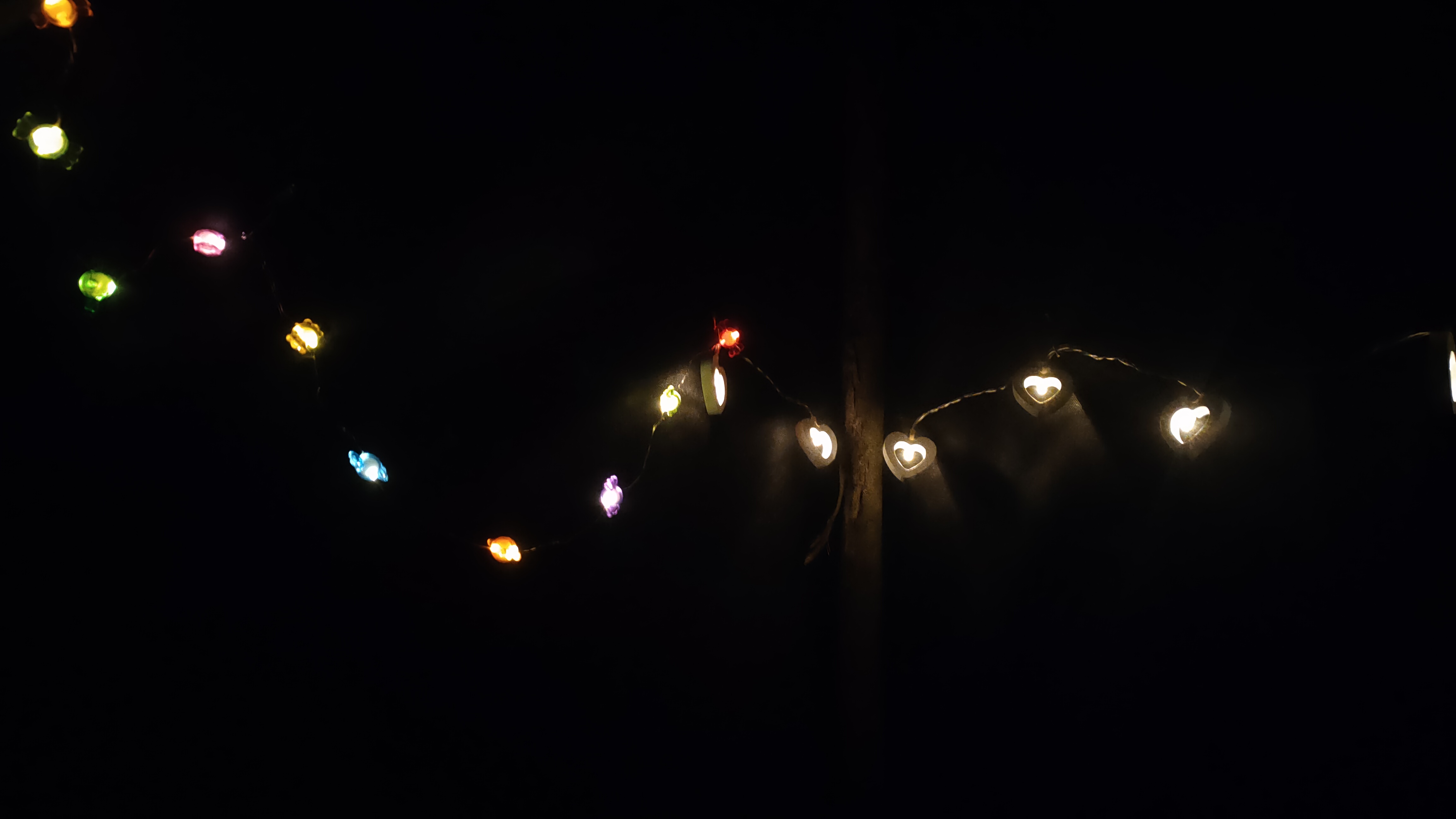 IMG20231031183823.jpg