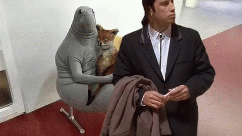 IMG_1213.gif