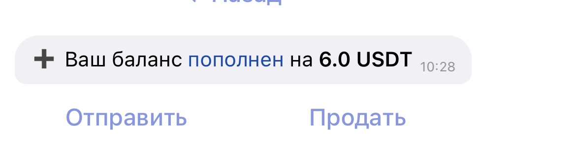 IMG_1873.jpeg