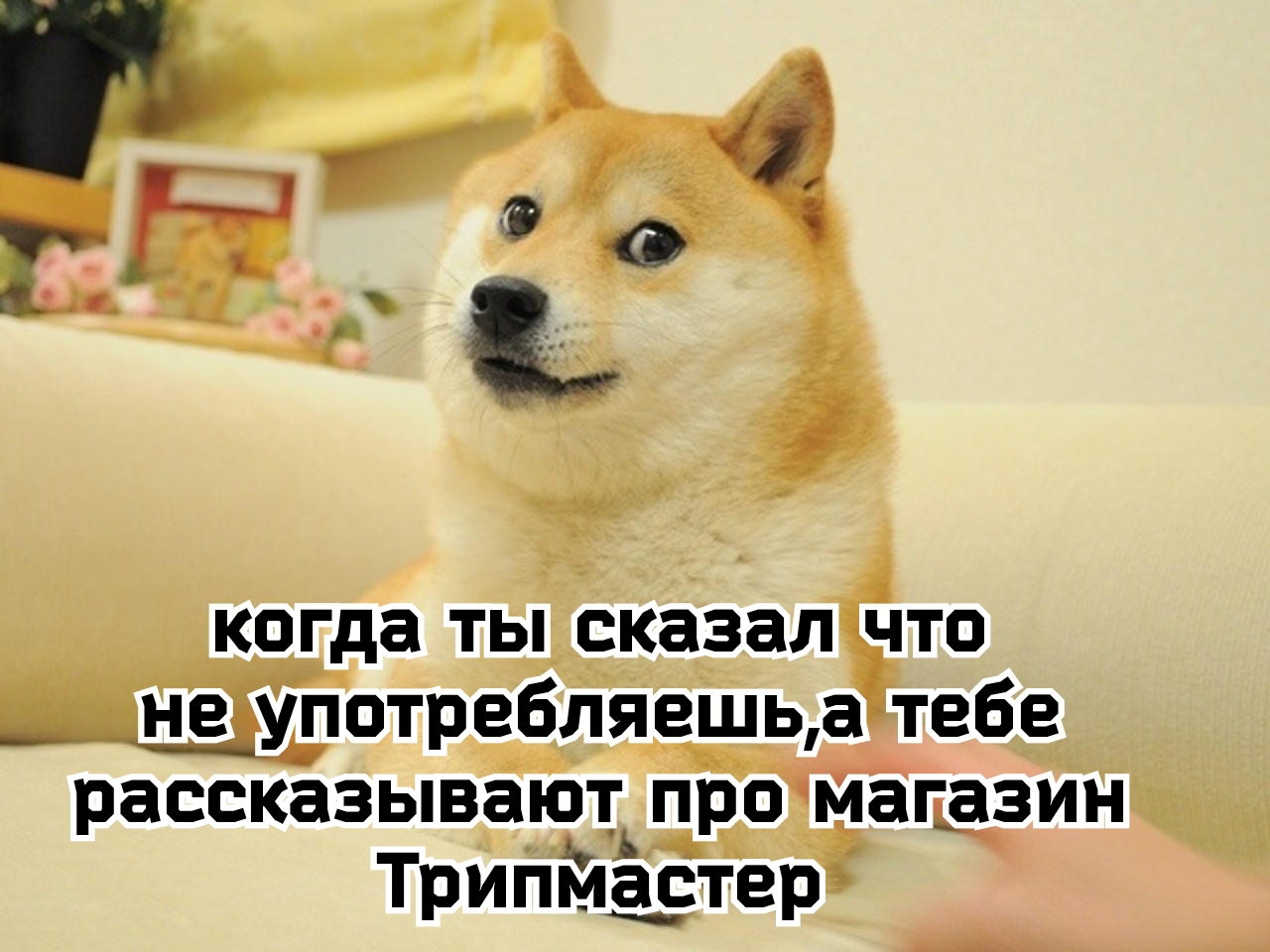 IMG_20231128_075557.jpg