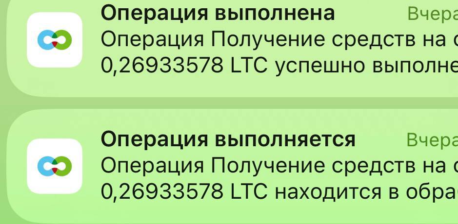 IMG_7930.jpeg