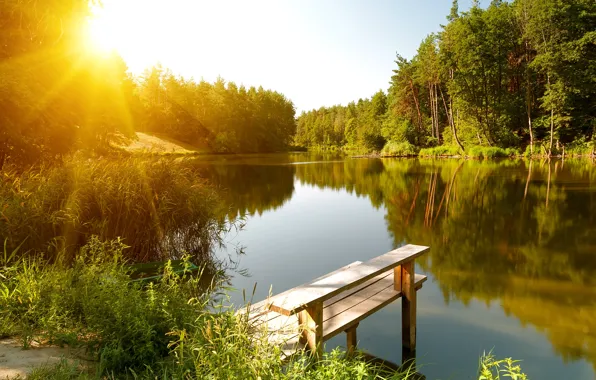 leto-reka-les-solnce-peyzazh.webp