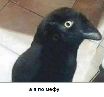 sobak3.jpg