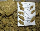 IMG-20221021-224024-528.jpg