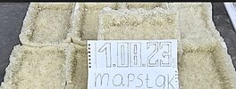 Меф Крис.jpg