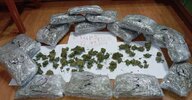 Индор Sour Diesel TGK 27%.jpg