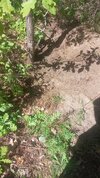 IMG_20260527_105036_359.jpg