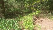 IMG_20260527_105022_728.jpg