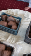XiaoYing_Video_16607325357011660732541.gif