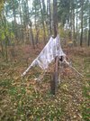 IMG_20221030_031336_443.jpg