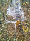 IMG_20221030_031329_594.jpg