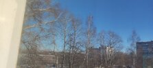IMG_20221204_122922.jpg
