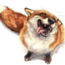 Firefoxxx