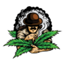 Mr.GreenCashpet