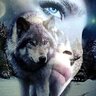 volk_2022