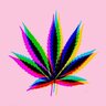 smokekush777