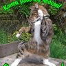 bossekbspb