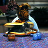 -ALF-