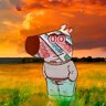 Fhjub