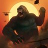 kinkong