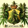 Plantageon