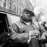 bigpappa