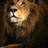 ivankaz297