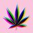 smokekush777