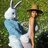 Rabbit37
