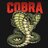 Cobra Support