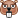 beaver :beaver: :beaver: